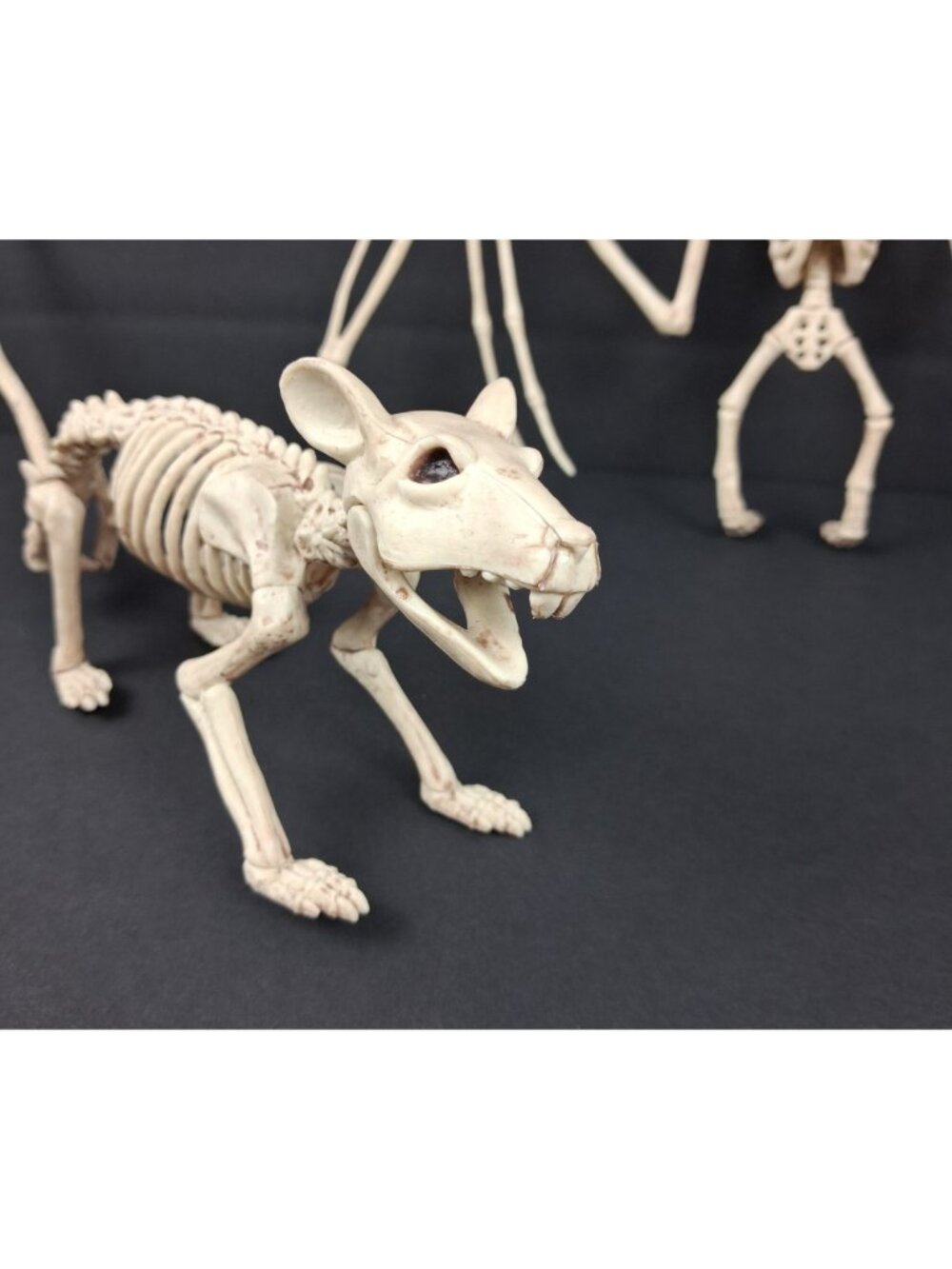 Creepy Skeleton Bat & Rat Figurines Spooky Home Decor - Picture 4 of 10